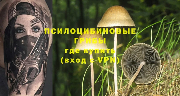 кокс Абаза