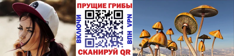 Псилоцибиновые грибы прущие грибы Исилькуль